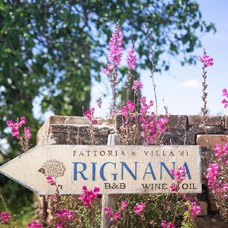 Fattoria Di Rignana Winery Bnb Greve in Chianti Kültér fotó