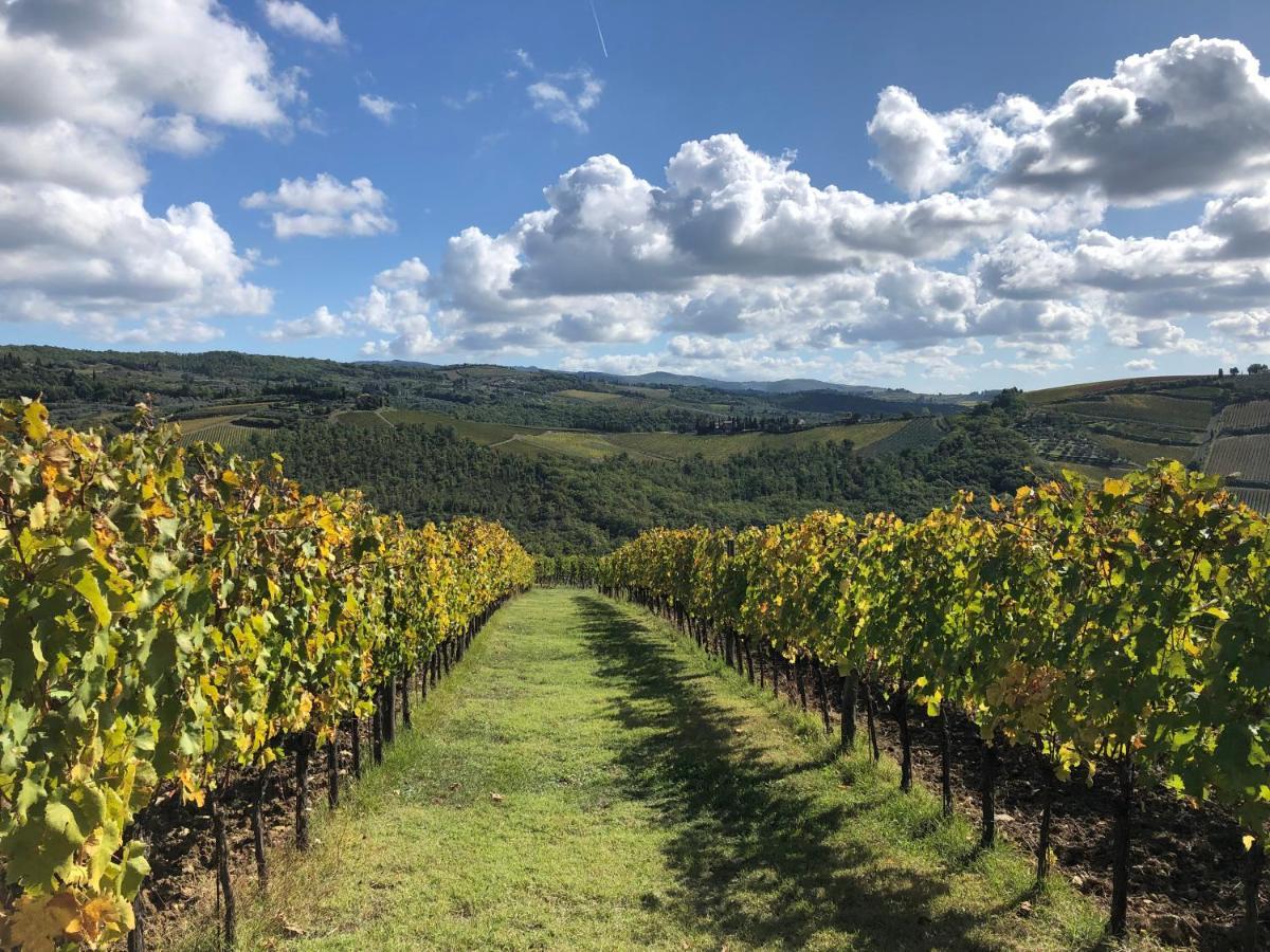 Fattoria Di Rignana Winery Bnb Greve in Chianti Kültér fotó