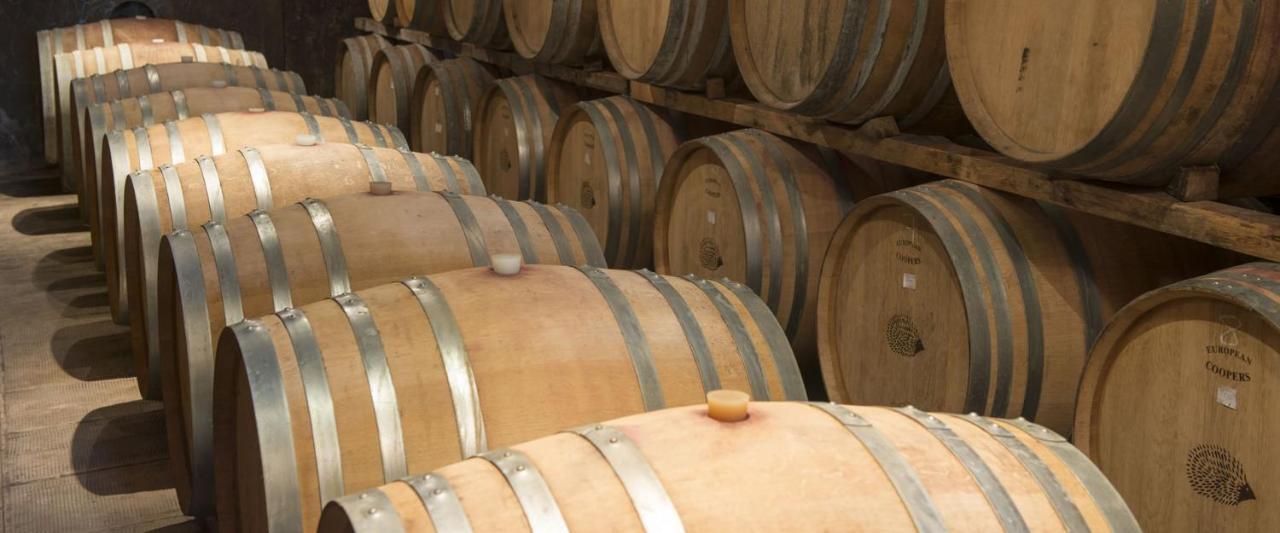 Fattoria Di Rignana Winery Bnb Greve in Chianti Kültér fotó