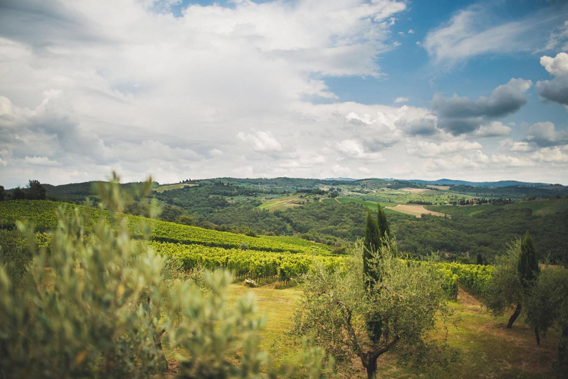 Fattoria Di Rignana Winery Bnb Greve in Chianti Kültér fotó