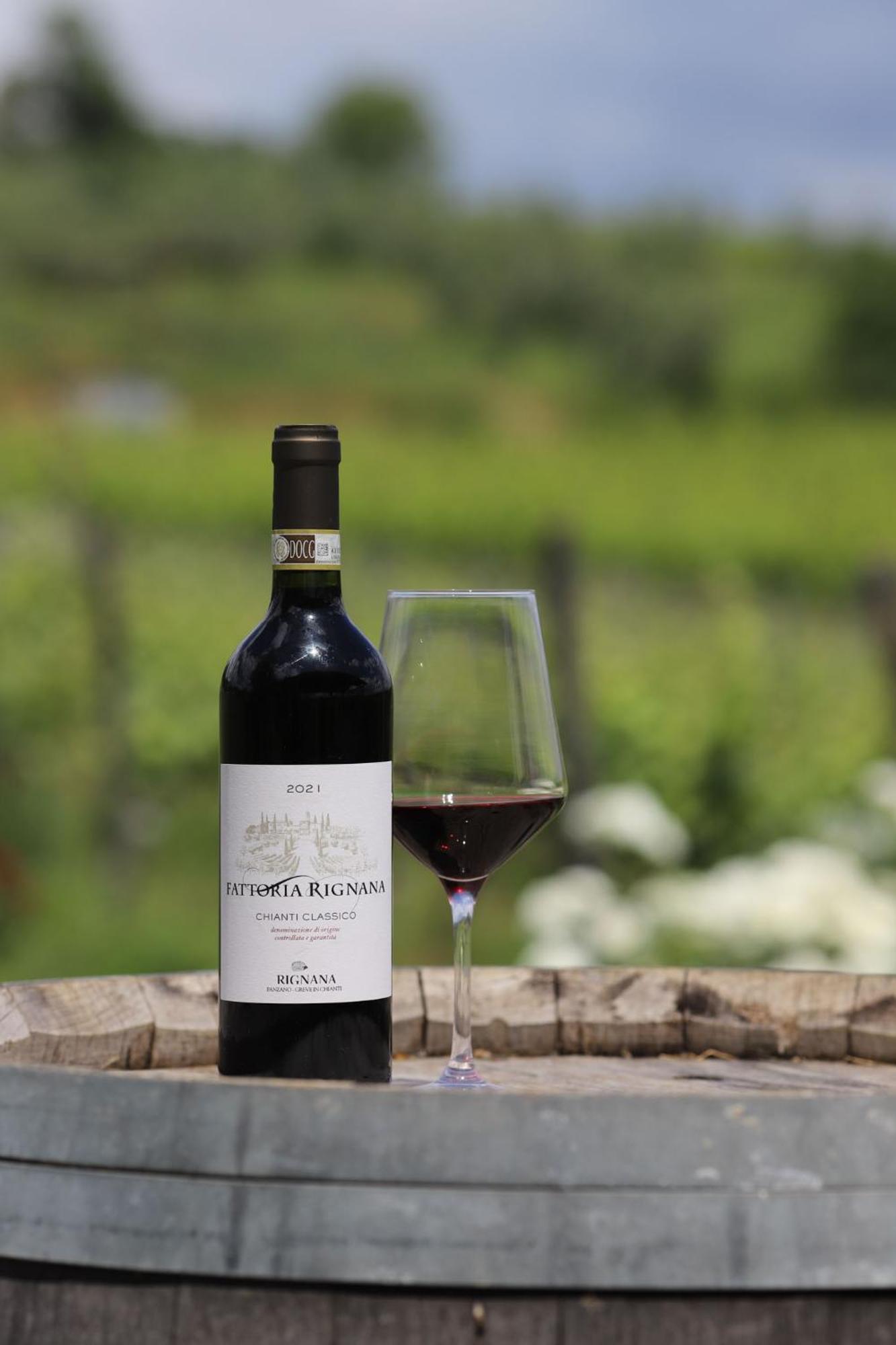 Fattoria Di Rignana Winery Bnb Greve in Chianti Kültér fotó