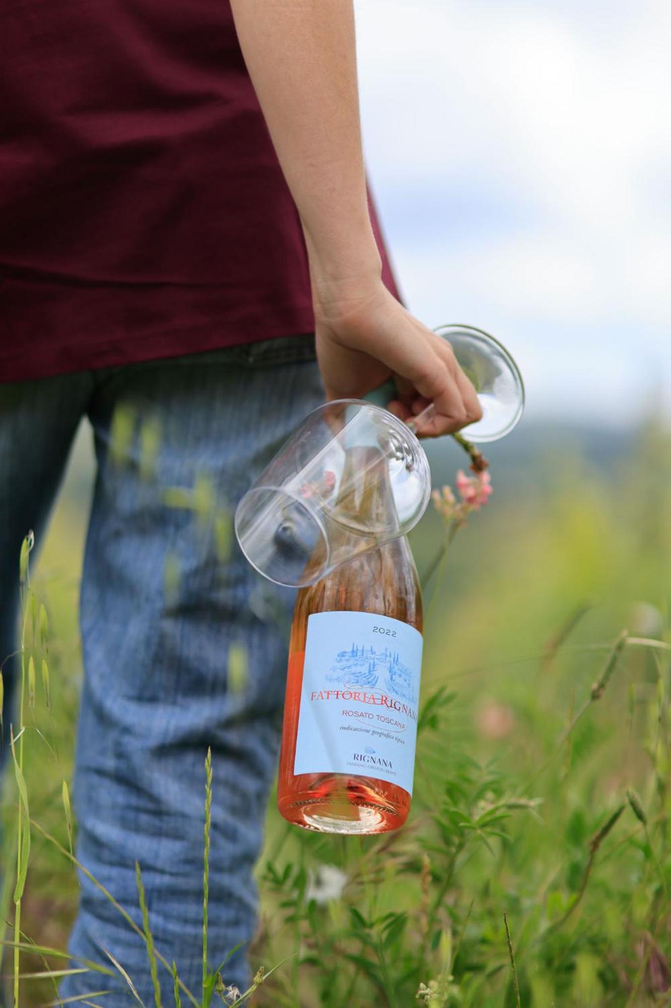 Fattoria Di Rignana Winery Bnb Greve in Chianti Kültér fotó